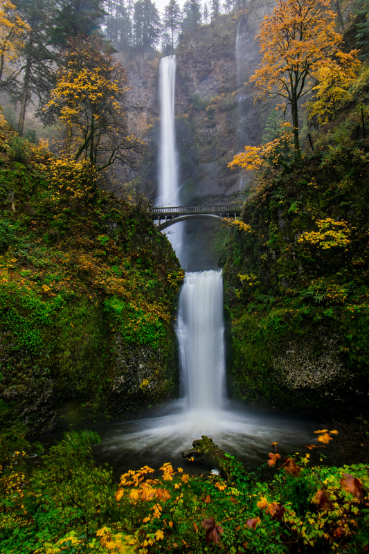Multnomah Falls in Autumn, Portland Oregon, Wall Art